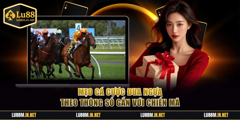 Mẹo cá cược đua ngựa theo thông số gắn với chiến mã